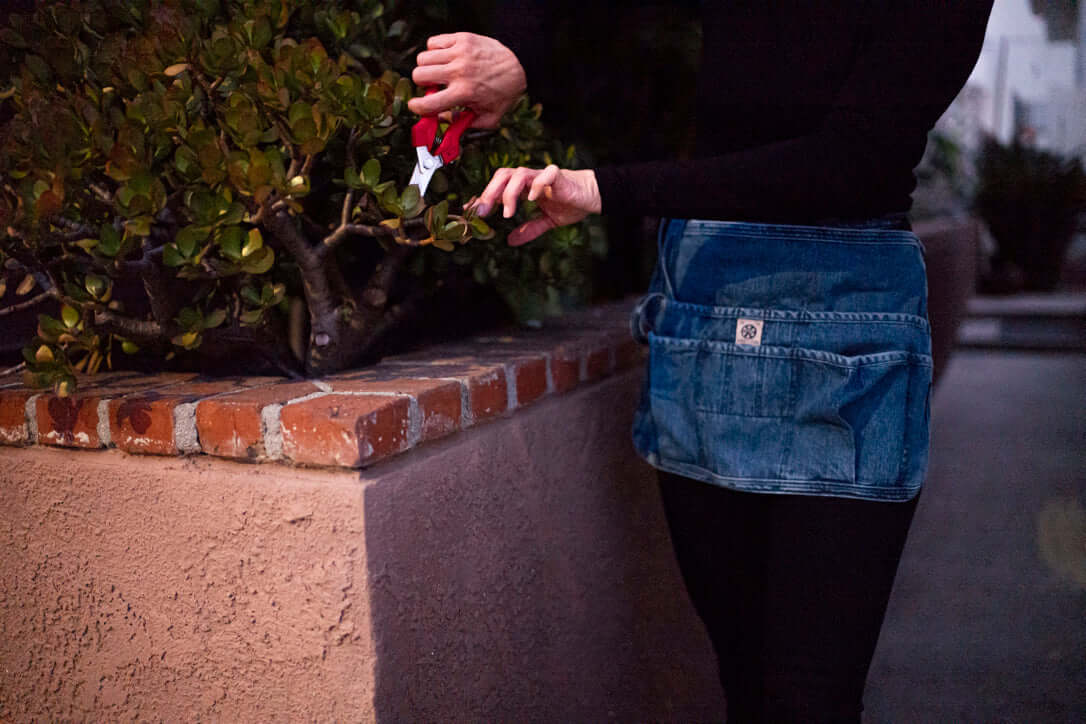 The Stylish Waist Apron for Home Cooks