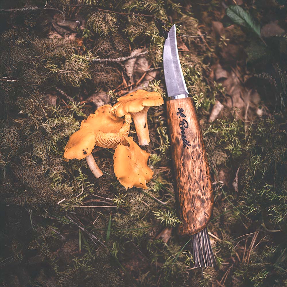 Roselli R115LC Mushroom Knife with Brush, Carbon Steel, Leather Cord - Wine Drop Cookery LLC