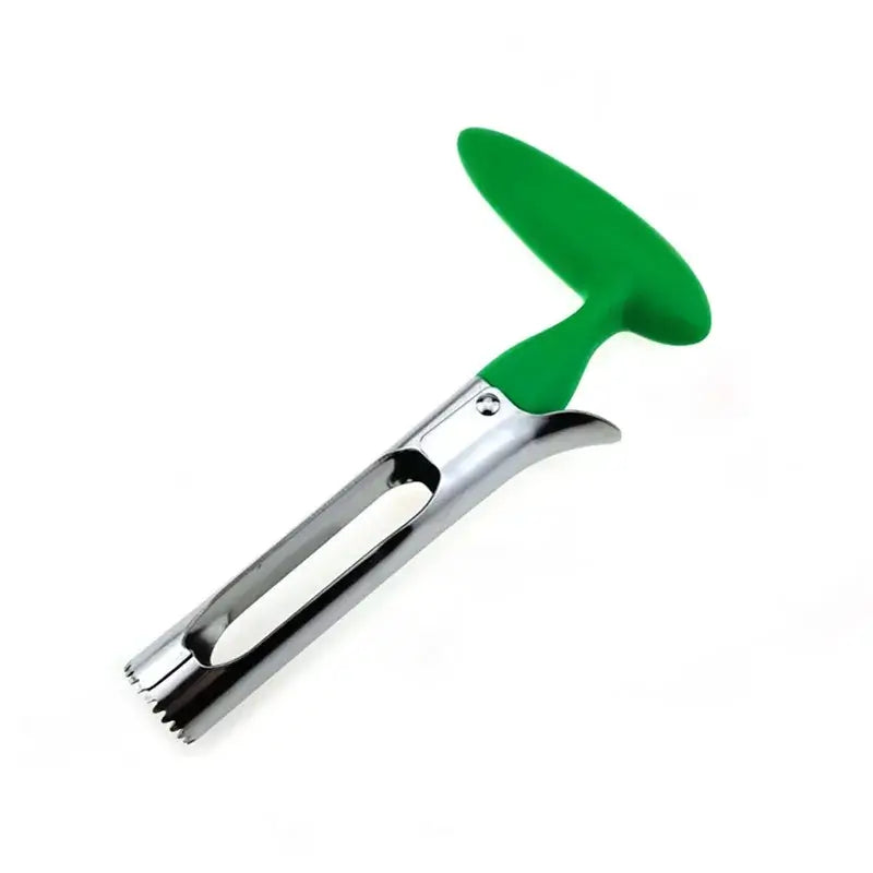 Stainless Steel Apple and Pear Corer