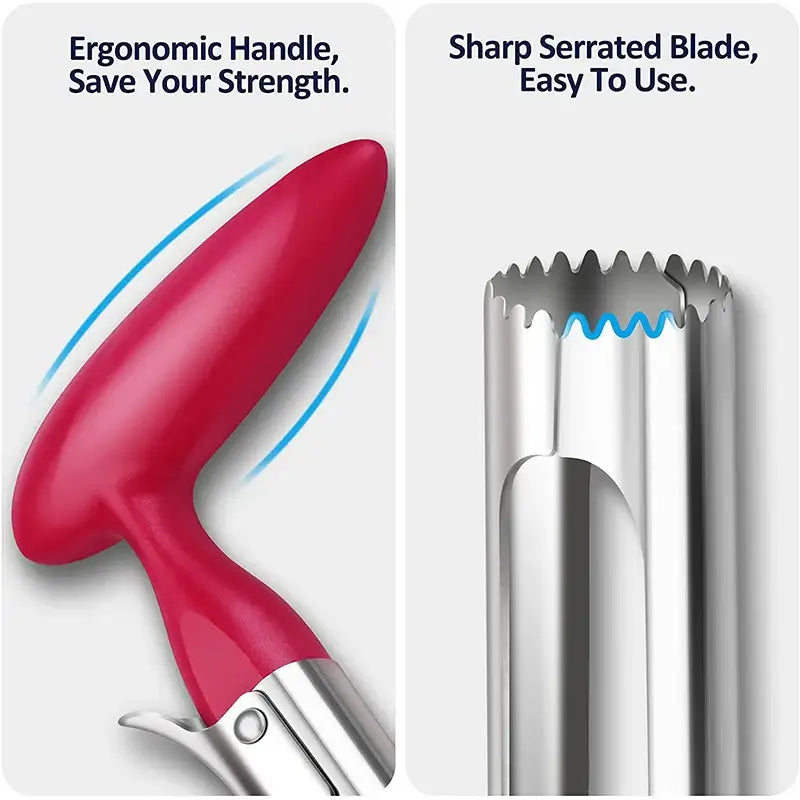 Stainless Steel Apple and Pear Corer
