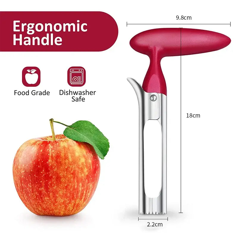 Stainless Steel Apple and Pear Corer