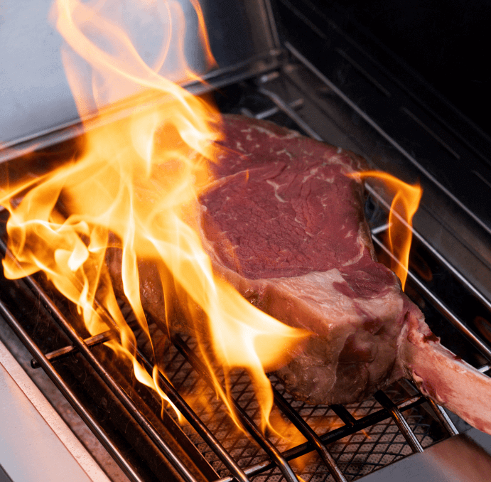 Smart Stainless Gas Grill - Bluetooth Hook Up