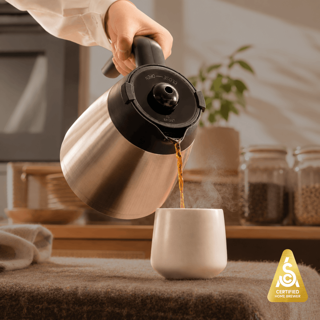 Enthusiast 8-Cup Drip Coffee Brewer - Wine Drop Cookery LLC