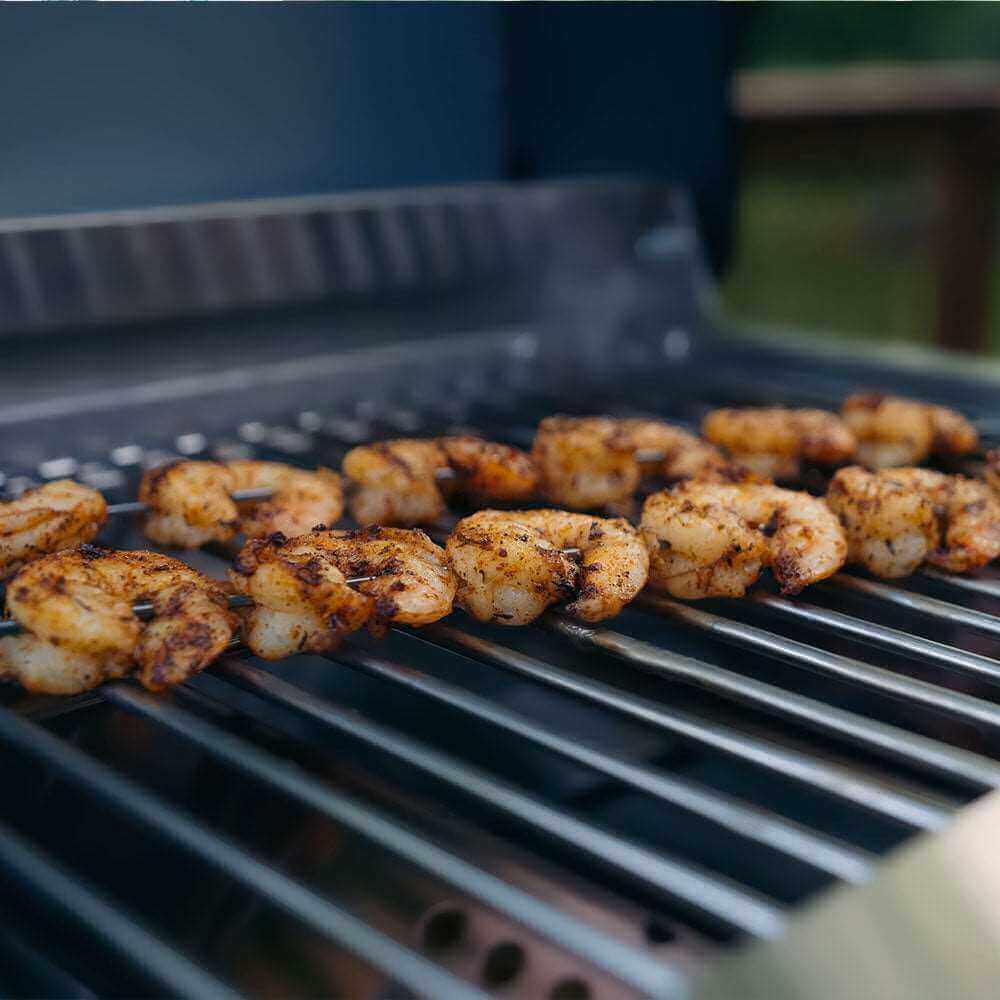 G22 Stainless Tabletop Propane Gas Grill - Wine Drop Cookery LLC