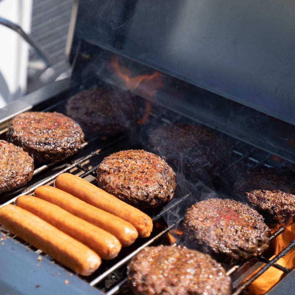 G22 Stainless Tabletop Propane Gas Grill - Wine Drop Cookery LLC