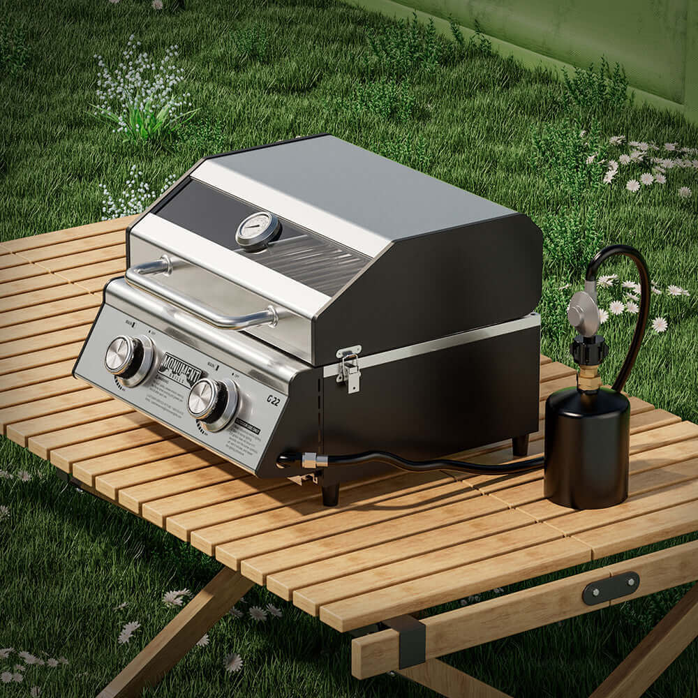 G22 Stainless Tabletop Propane Gas Grill