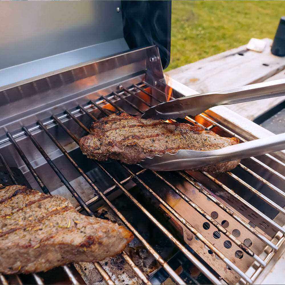G22 Stainless Tabletop Propane Gas Grill