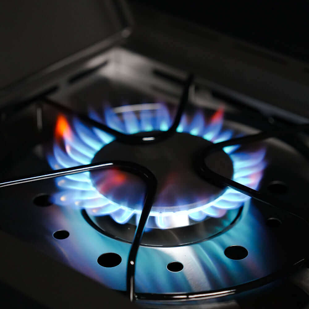 Iconic Fortified Propane Gas Grill - Wine Drop Cookery LLC