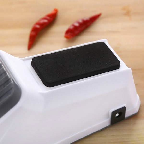 Professional Electric Knife Sharpener 
