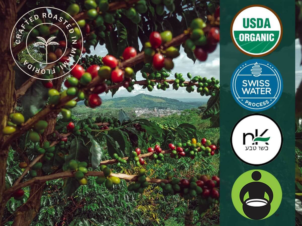 Organic Cuba Mia Decaf Espresso Pods Dark Roast - Wine Drop Cookery LLC